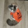 Hairball