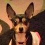 Xeena