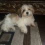 Charlie