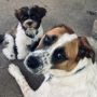 Rupp and Ella